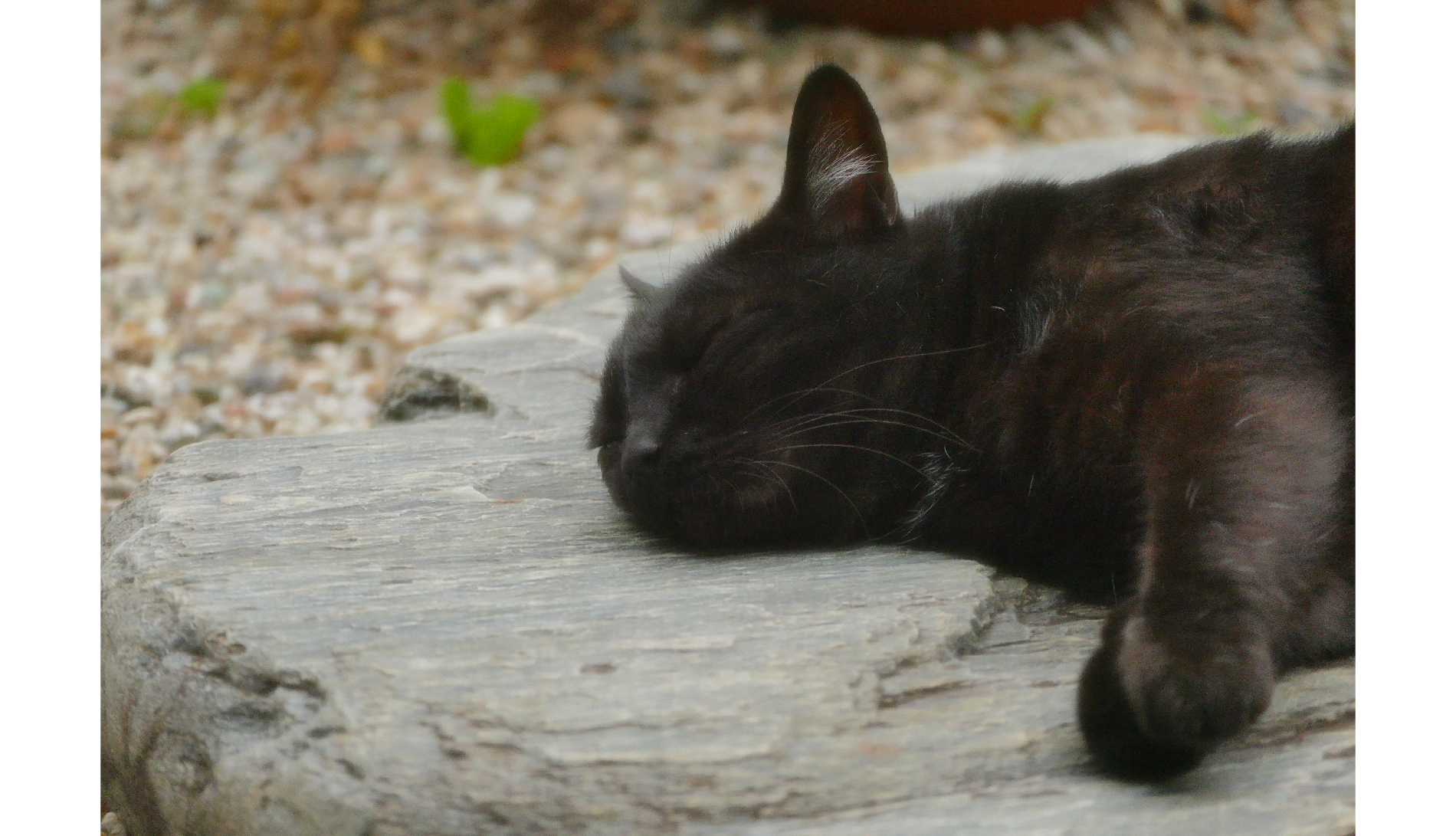 優秀賞 『石のふとんでZZZ』