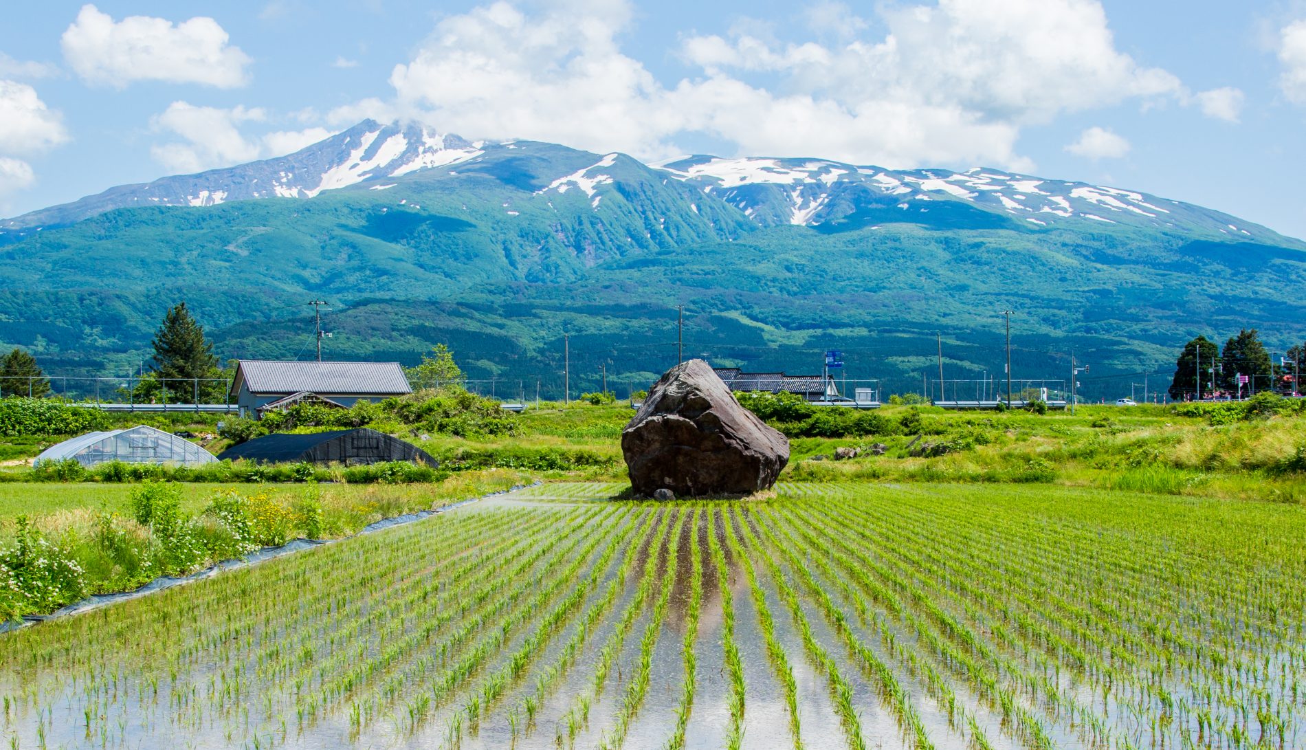 最優秀賞「鎮座」