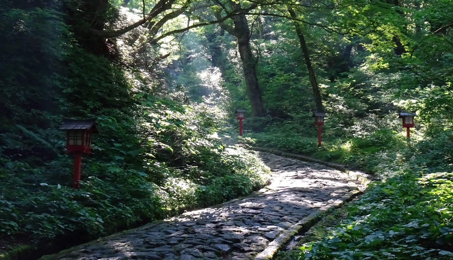 最優秀賞「光射す参道」